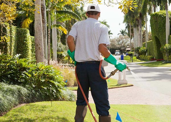 About Bally PA Pest Control Pros